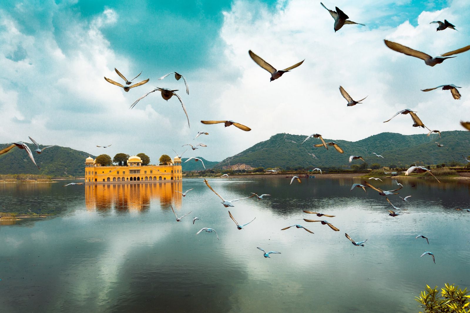 Best Tour & Travel Services in India